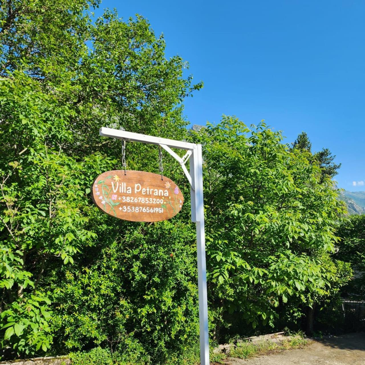 Villa Petrana Котор Екстер'єр фото